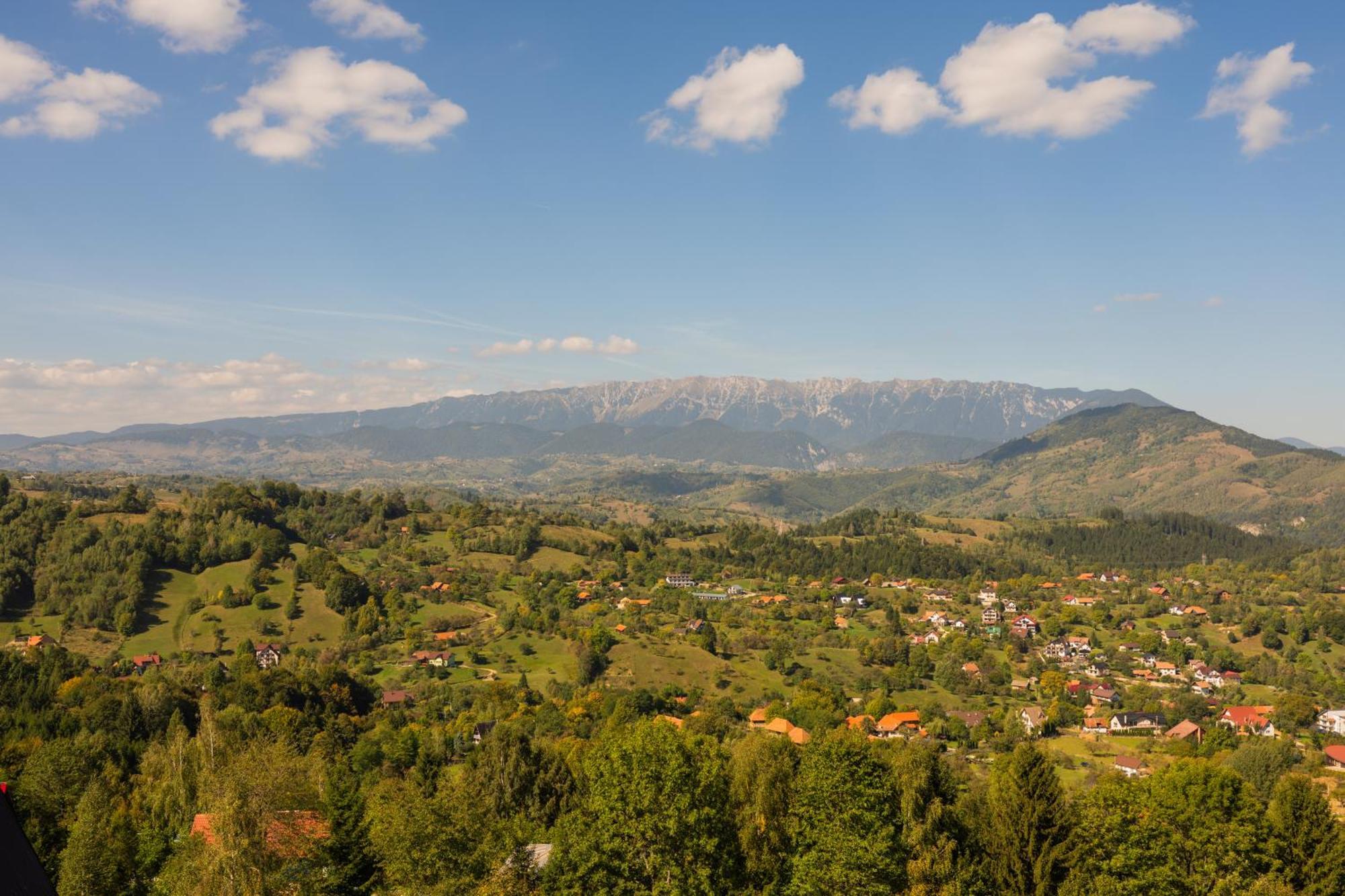 The Pines Bucegi Lodge Bran  Dış mekan fotoğraf