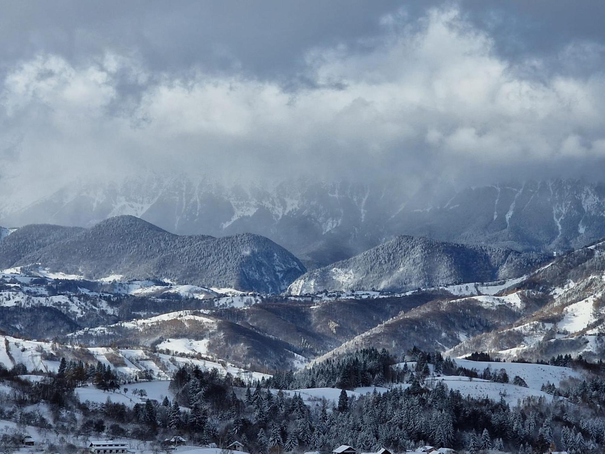 The Pines Bucegi Lodge Bran  Dış mekan fotoğraf