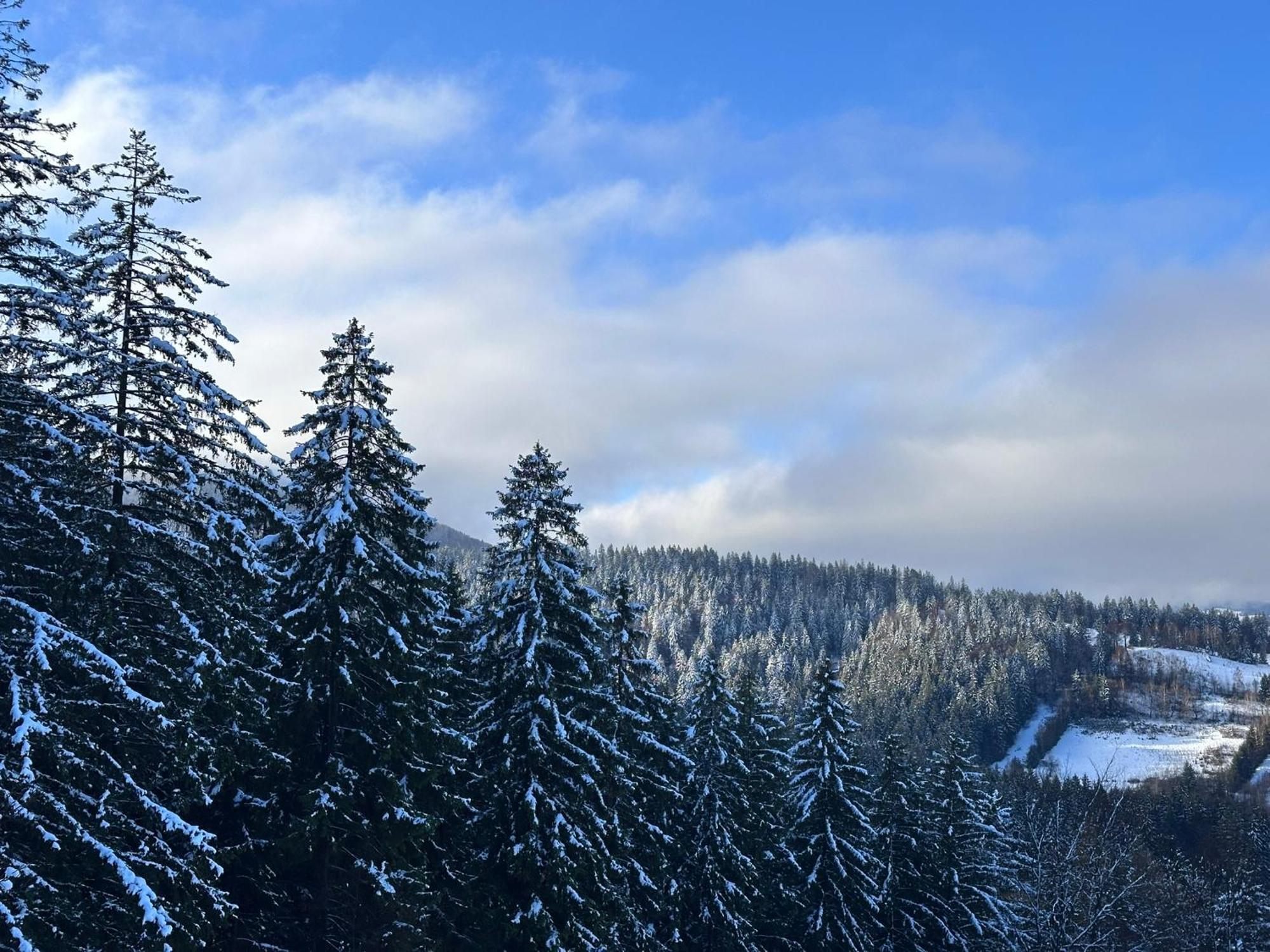 The Pines Bucegi Lodge Bran  Dış mekan fotoğraf